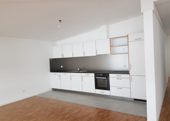 Magnifique appartement 4 pièces