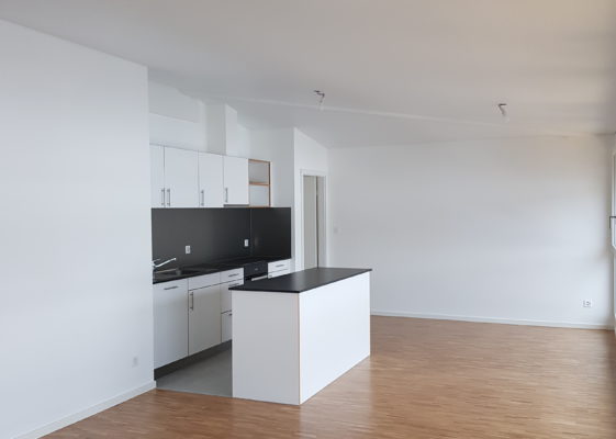 Magnifique appartement 3 pièces
