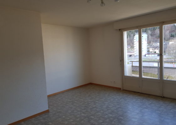 Appartement 1 pièce